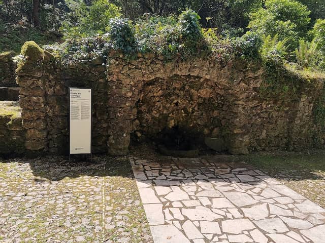 Fonte do Carregal - Image 3