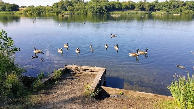 Blackleach Country Park - Image 1