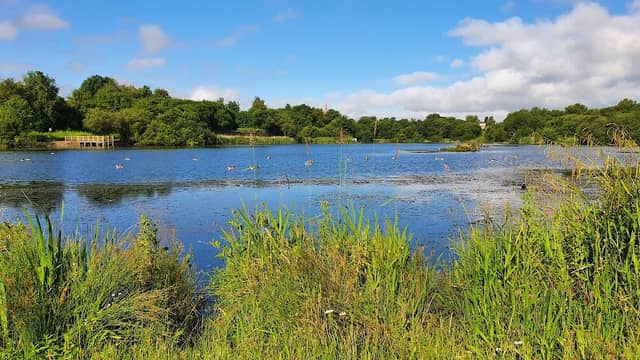 Blackleach Country Park - Image 3