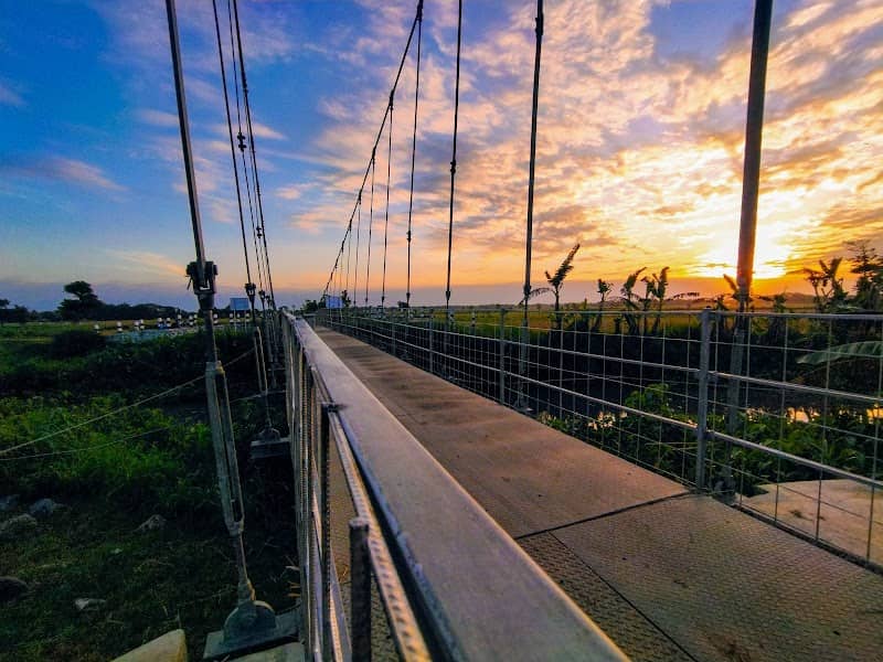 Jembatan gantung viral - Image 1