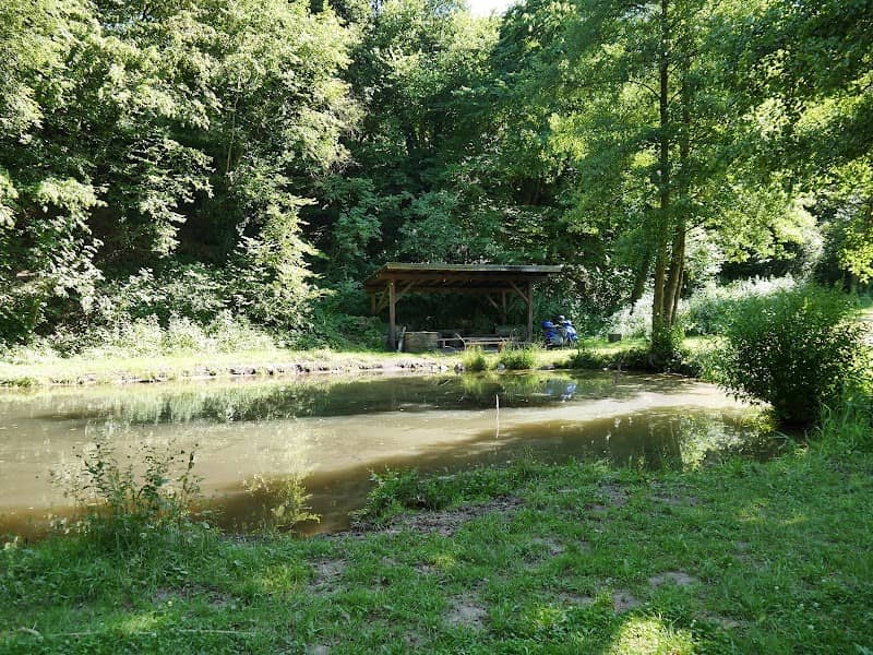 Reuenthaler See - Image 1