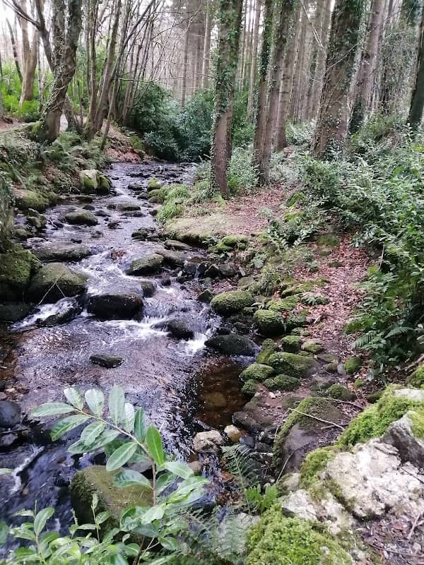Massy's Estate - Image 1