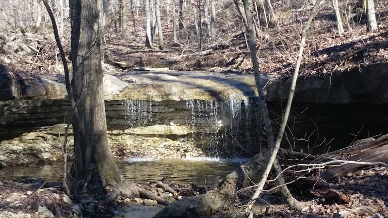 Valley View Glades Natural Area - Image 2