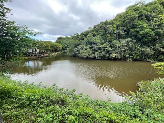 Jinlong Lake Park - Image 1