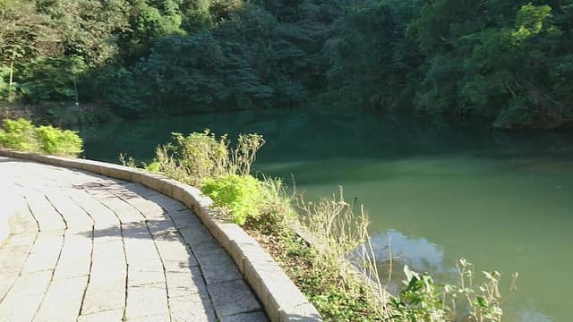 Jinlong Lake Park - Image 2
