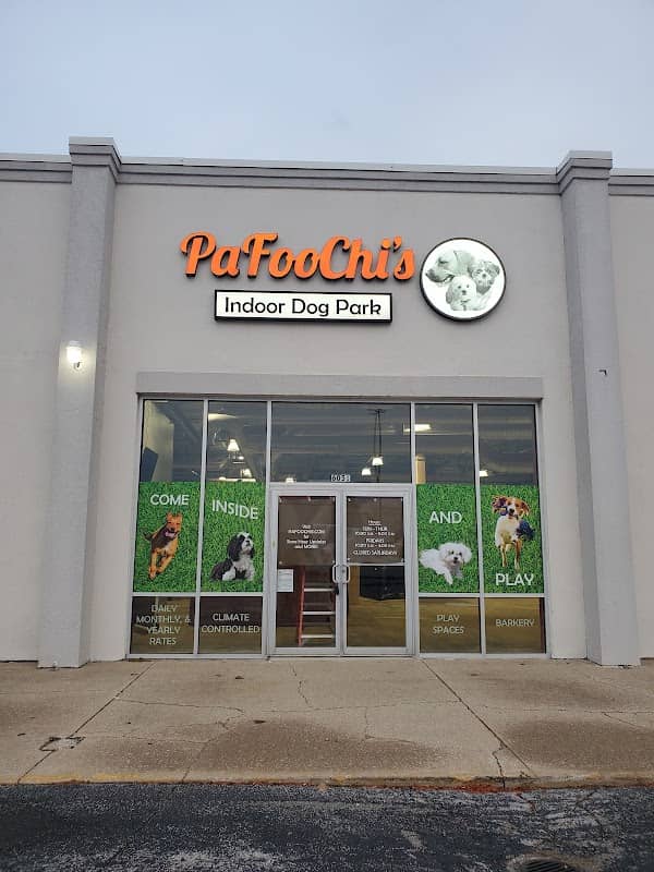 PaFooChi's Indoor Dog Park - Image 2