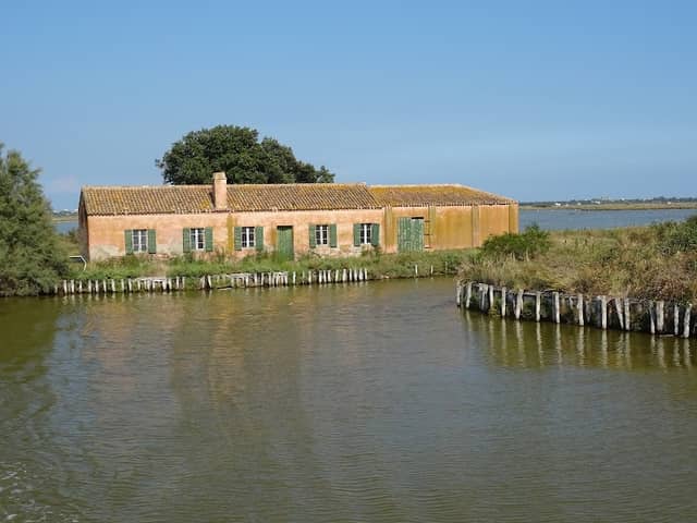 Valli di Comacchio - Image 2
