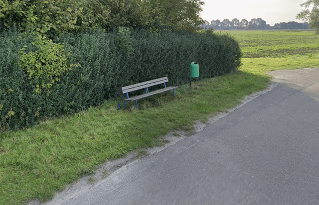 Blick in die Wiesen (Vogelbrutgebiet) - Image 1