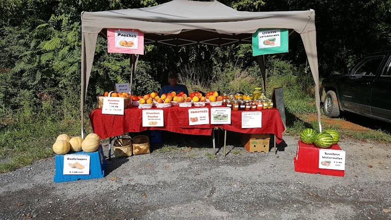 Wilton Springs - Image 1