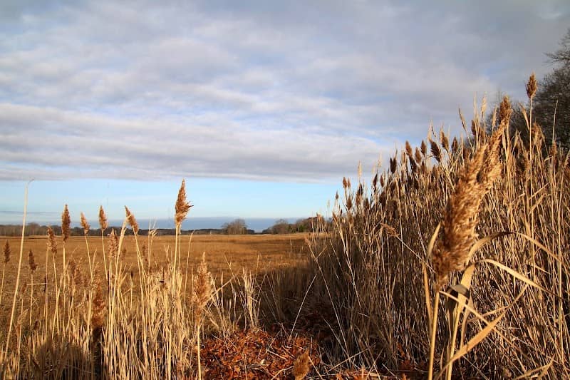 Doug Rayner Wildlife Refuge - Image 3