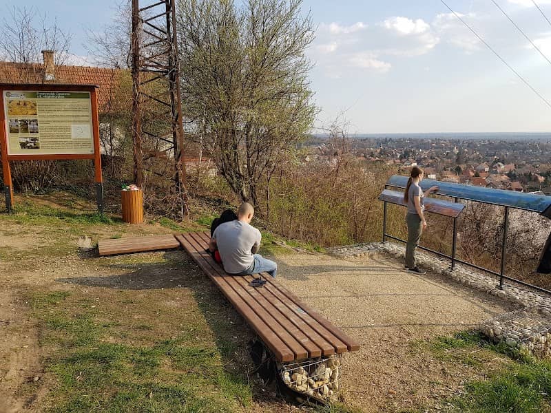 Körpanorámás kitekintőpont - Image 2