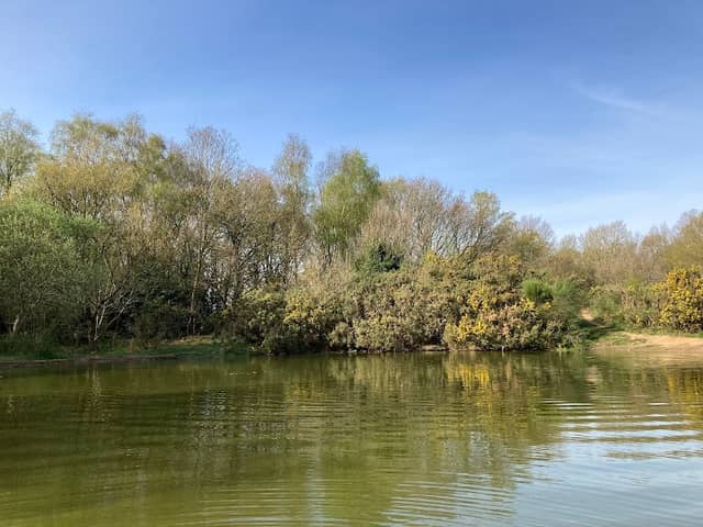 Mousehold Vinegar Pond - Image 1