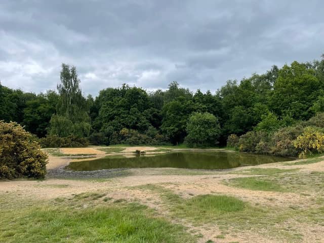 Mousehold Vinegar Pond - Image 2