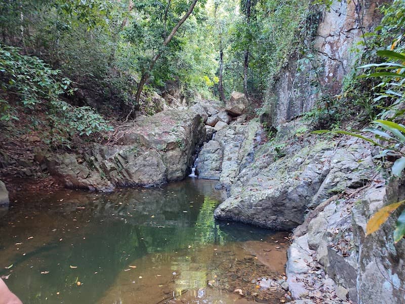 Caño hondo - Image 1