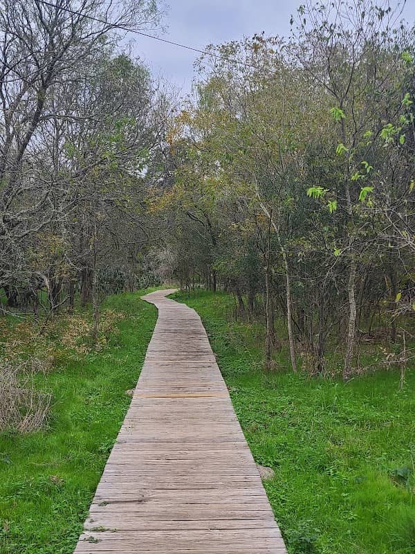 Ringtail Ridge Natural Area - Image 1