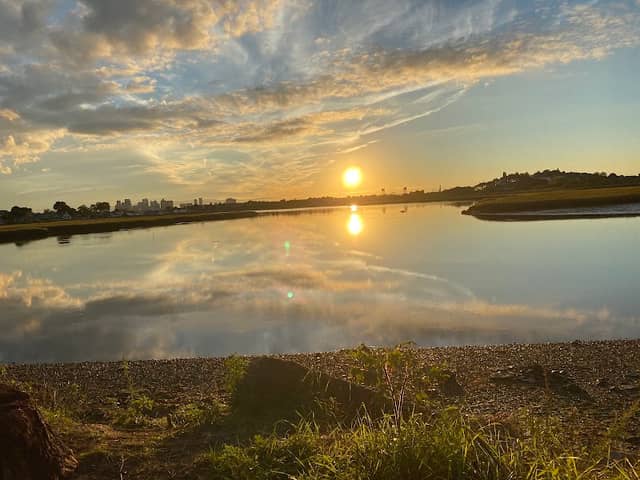 Belle Isle Marsh Marine Ecology Park - Image 1