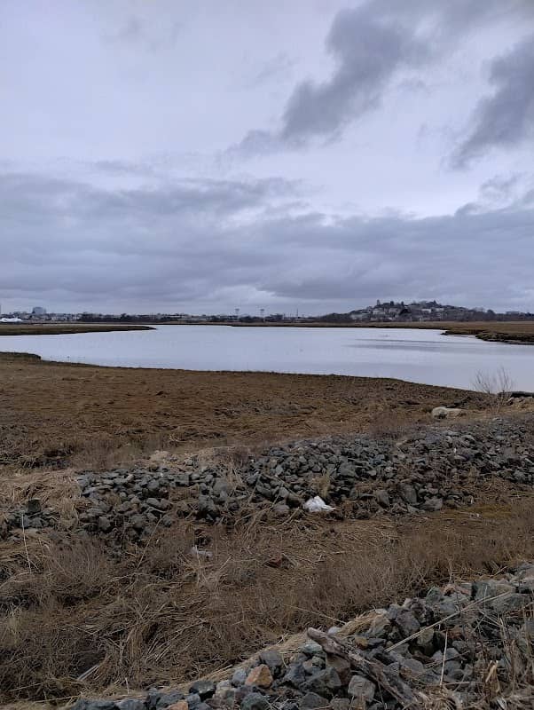 Belle Isle Marsh Marine Ecology Park - Image 2