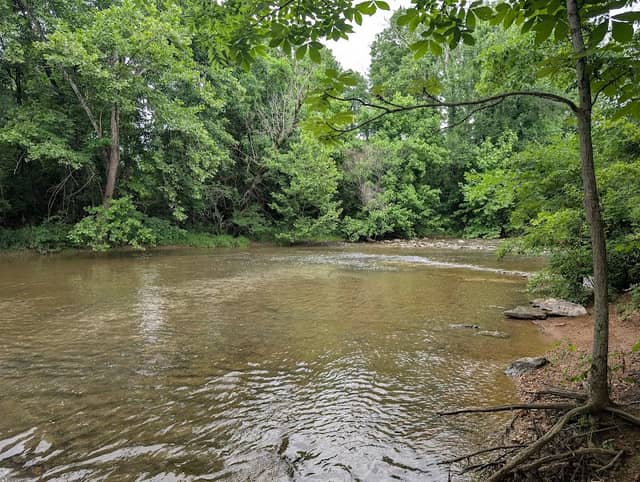 Station Camp Greenway Hiking Trail - Image 2