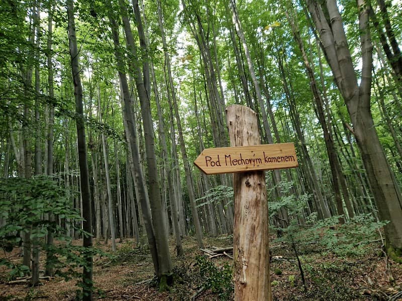 studánka pod mechovým kamenem - Image 1