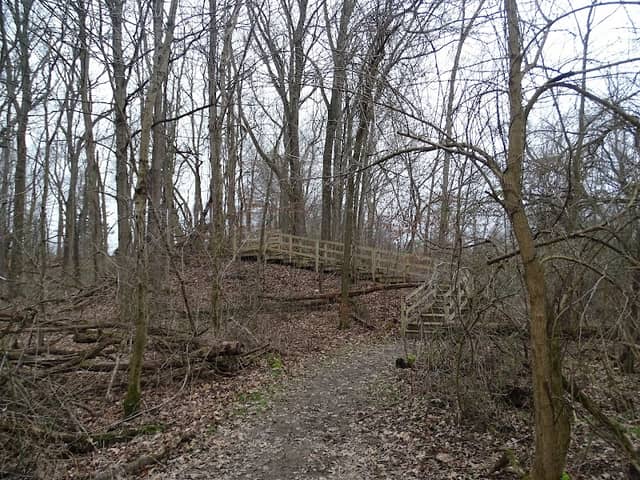 Paw Paw Trail - Image 1