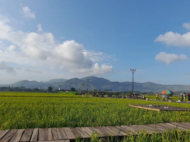 Wisata Kuliner Mewah Tempos - Image 1