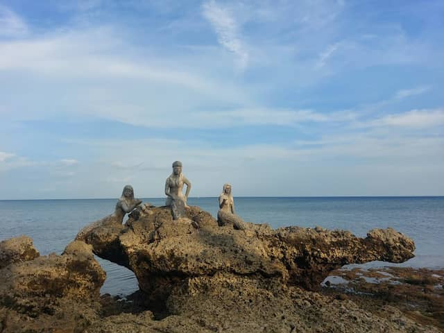 Freedom Park - Image 2