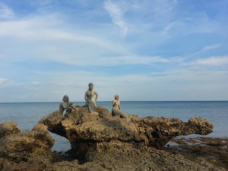 Freedom Park - Image 2