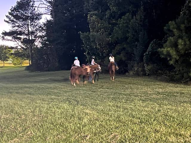 Wild Horse Creek Park Equestrian Center - Image 1