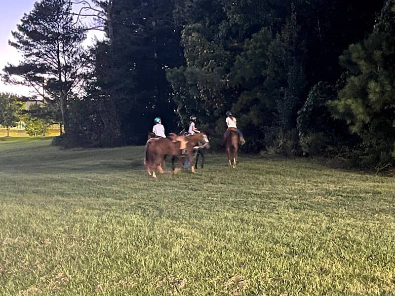 Wild Horse Creek Park Equestrian Center - Image 1