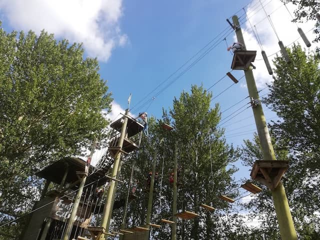 Treetop Extreme - Image 1