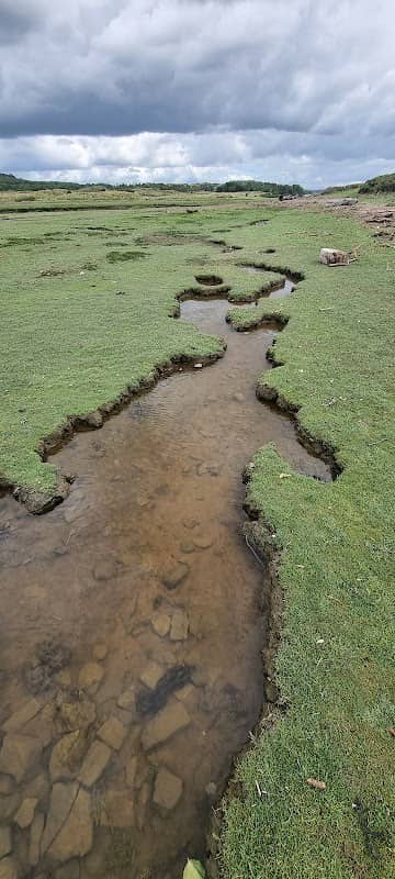 Vantage Point - Image 2