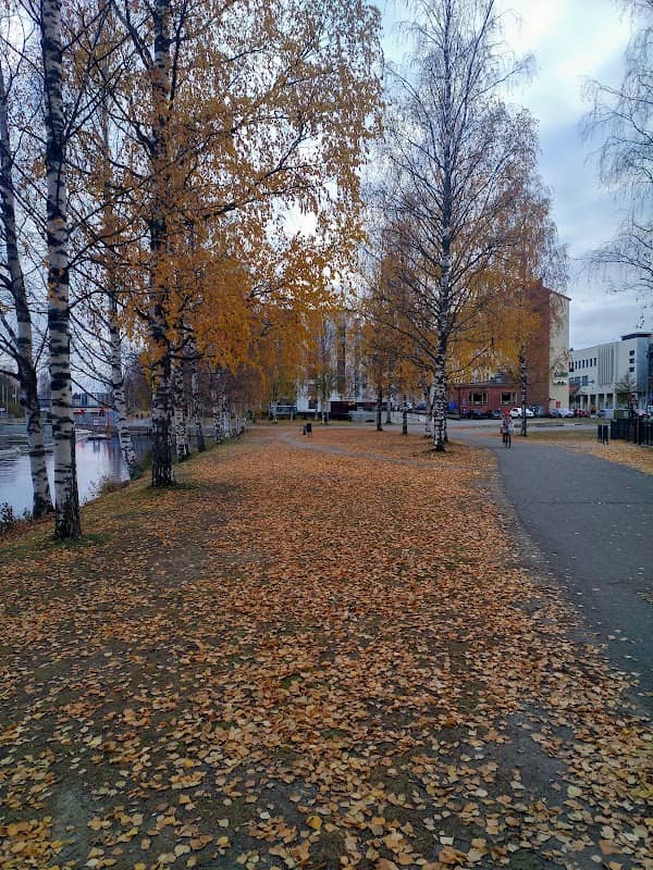 Kanavapuisto - Image 1