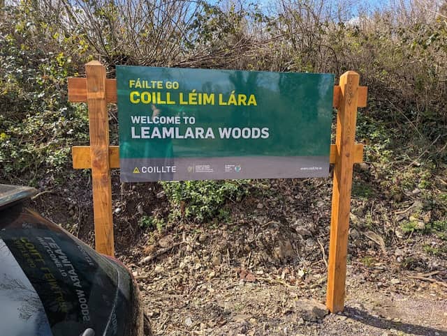 Leamlara Forest Walk - Image 1