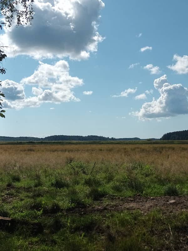 River Porvoonjoki - Image 1