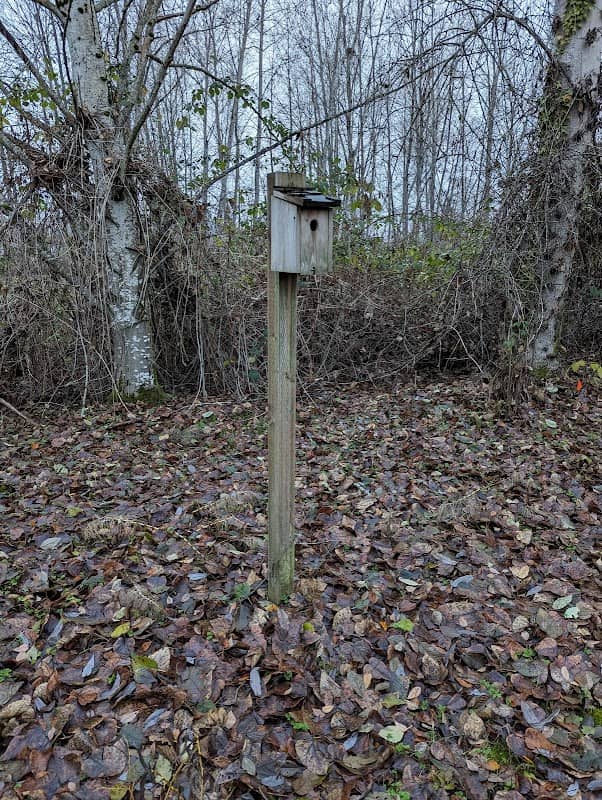 The Lake wildlife area - Image 2