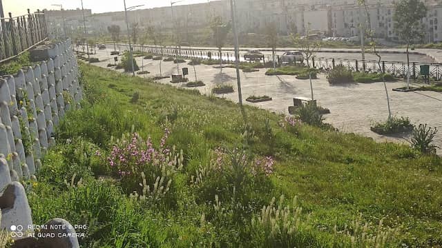 Center Park ALIMENDJELI - Image 1