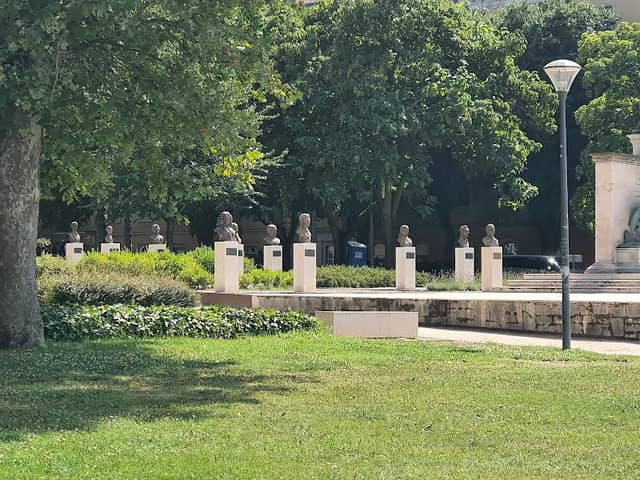 Pula luka - Image 3
