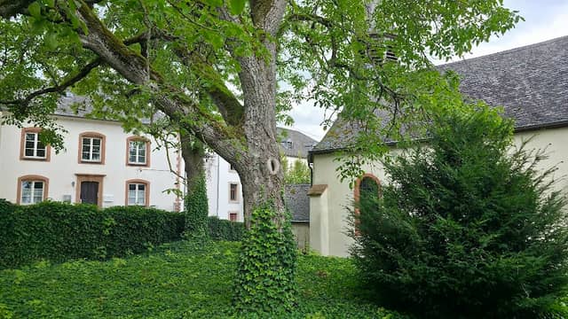 Park von Nell's - Image 1