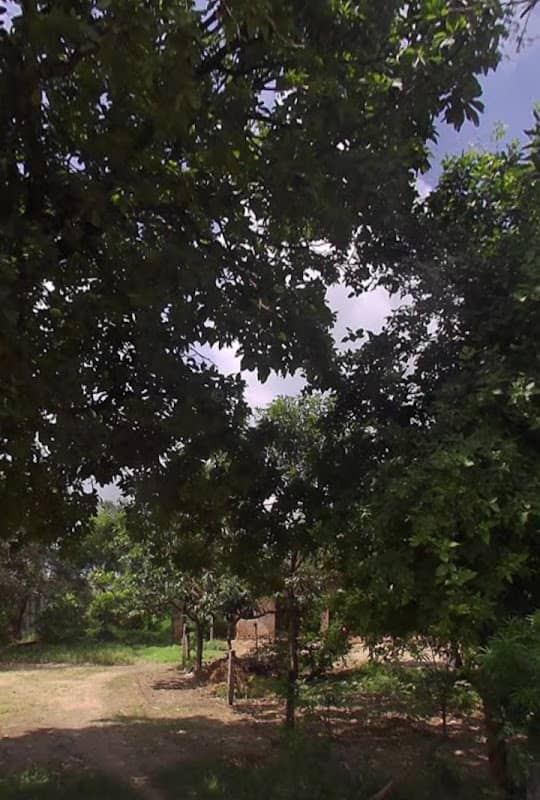 Guruji ke dera - Image 1