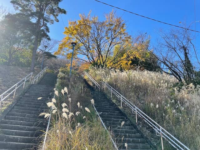 Okuyama Park - Image 1