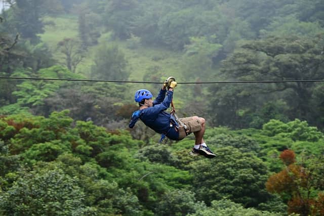 Treetopia Park - Image 3