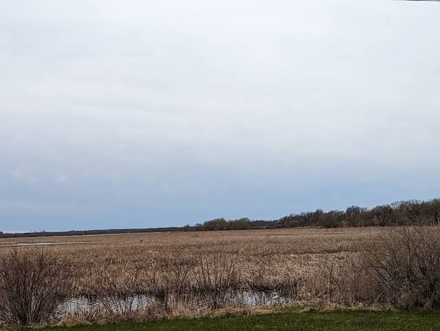 Perch River Wildlife Management Area - Image 1