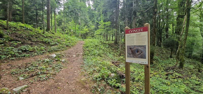 Utrjeno naselje in obzidje Cvinger - Image 1