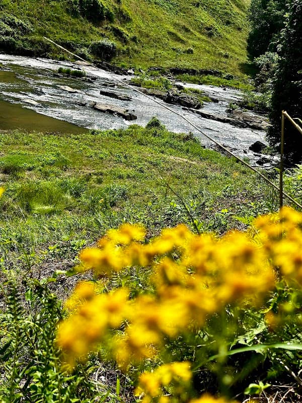 Tributary Nature Trails - Image 1