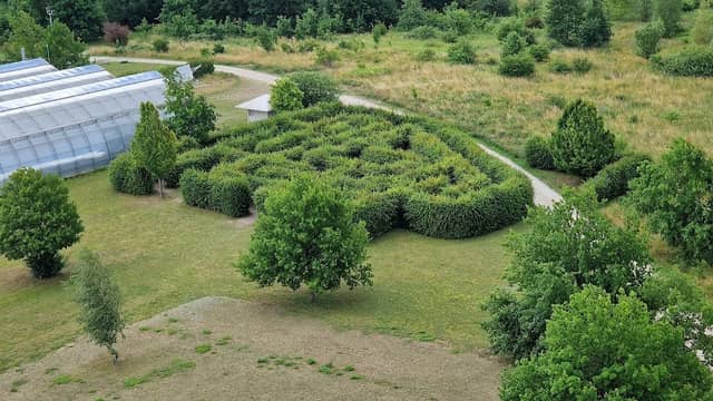 Irrgarten im Bürgerpark - Image 1