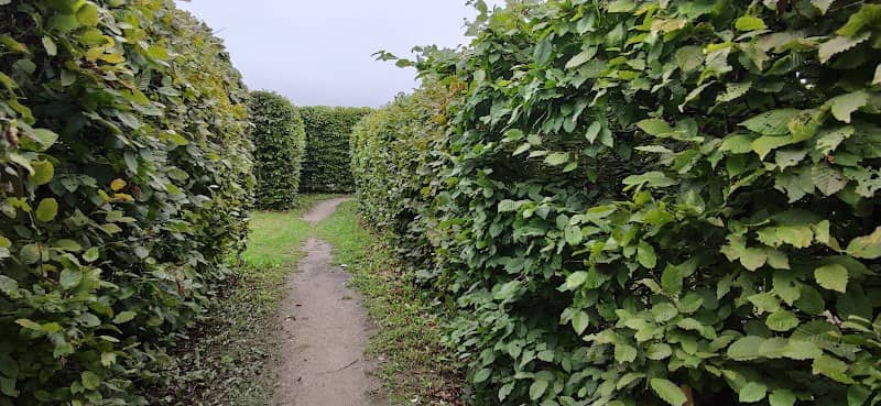 Irrgarten im Bürgerpark - Image 2