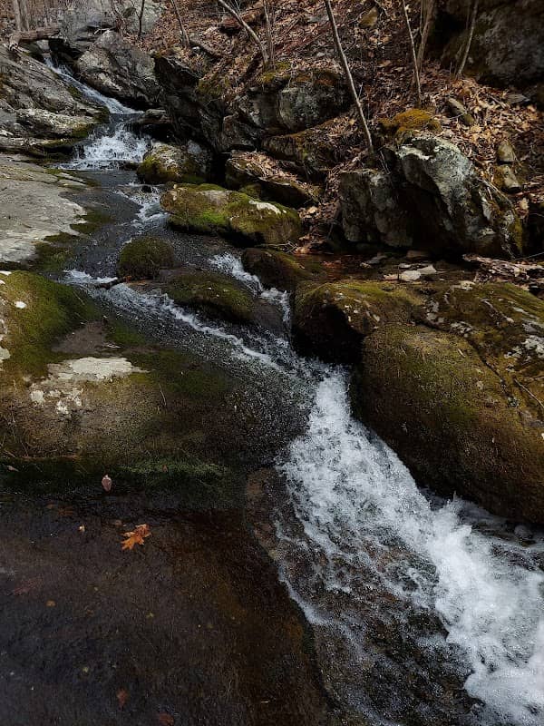 Rives Park - Image 1