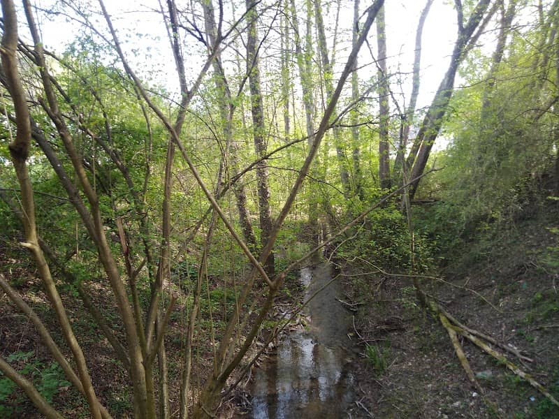 Naturschutzgebiet - Image 2