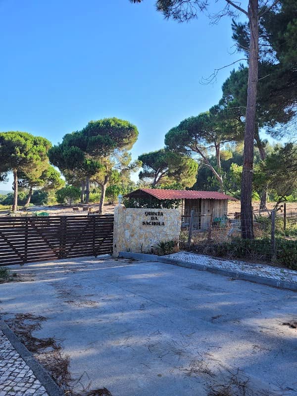 Quinta da Sachola - Image 1