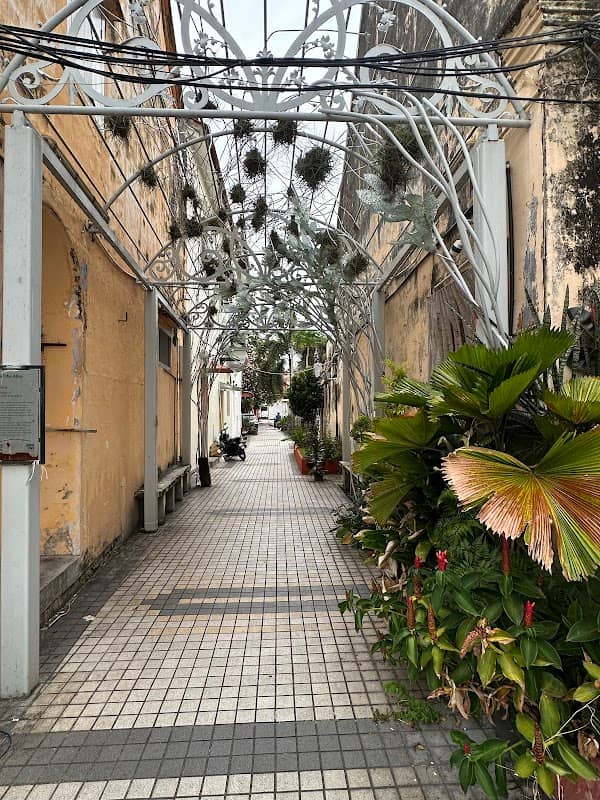 Lily of the alley - Image 2